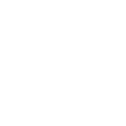 Custom Solutions