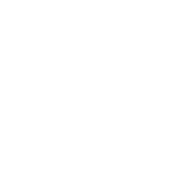 Automated Process
