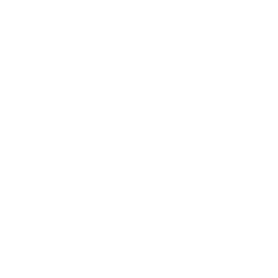Business Processes