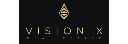 Vision X