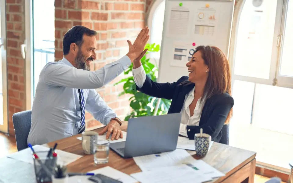 ERP Implementation Partner